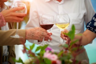 Kıdemli arkadaşlar evde şarap bardakları ile öğle yemeği - birlikte - eğleniyor mutlu olgun insanlar sol alt cam odaklanmak - yaşlı yaşam tarzı kavramı tezahürat