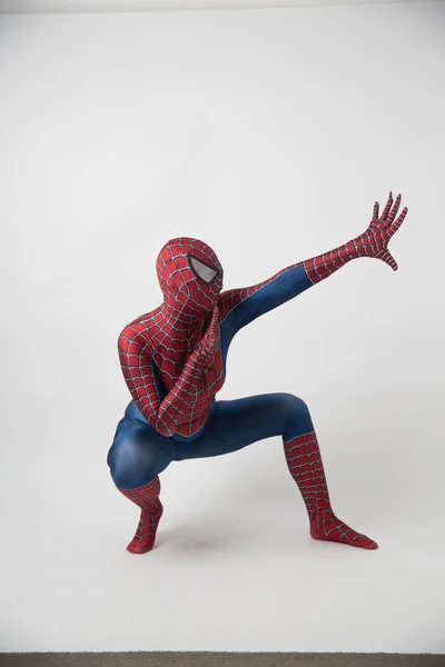 Gentle Giant Marvel Spider-Man Collector Statue | Large Interactive  Spider-Man Figure | Features Upside-Down Spider-Man |1:8th Scale Model |1