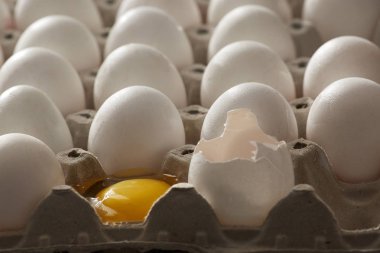Tavuk yumurtası diğer yumurtaların yanında yarısı kırıktır.