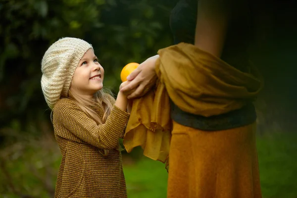 Dcera a matka sklizeň pomerančů — Stock fotografie