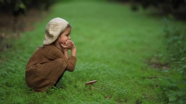 Adorable fille sur prairie avec des champignons — Video