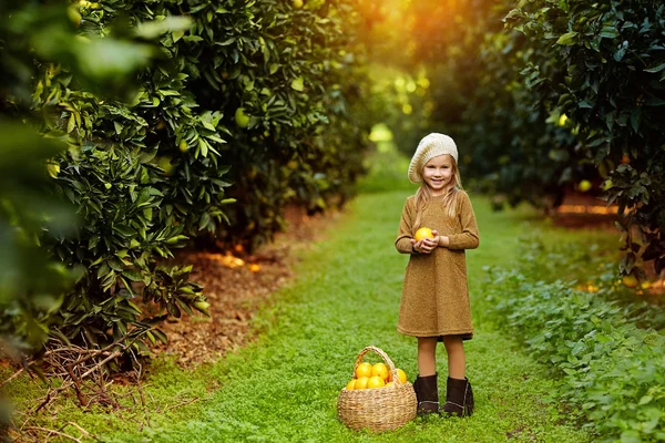 Rozkošný dívka s košíkem ovoce v zahradě — Stock fotografie