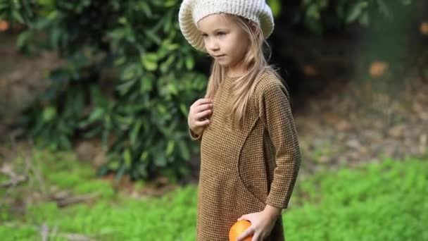 Adorable little girl picking fresh ripe oranges in sunny orange tree garden in Italy — Stock Video