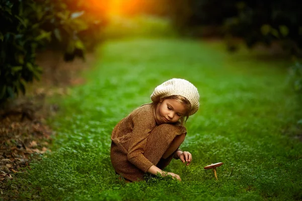 Roztomilá holčička, turistika v lese na letní den — Stock fotografie