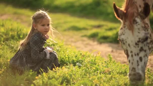 Niña en el campo y caballo — Vídeo de stock