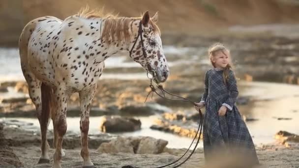 Chica acariciando su caballo en la playa — Vídeo de stock