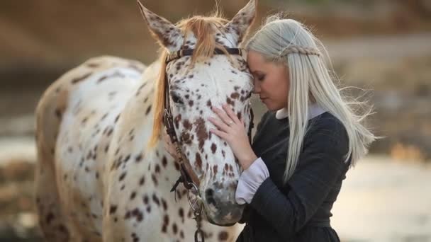 Junge blonde Frau streichelt und umarmt Pferd. schöne Dame mit ihrem weißen Hengst an der Küste und genießt die Natur. Liebe und Freundschaft. Wellen Ozean Hintergrund. — Stockvideo