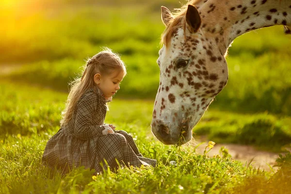 Encantadora chica con hermoso caballo manchado —  Fotos de Stock