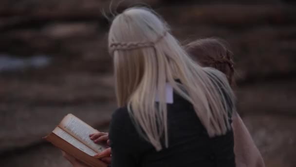 Vrouw lezen van een boek op de kust. Achterzijde weergave Slowmotion — Stockvideo
