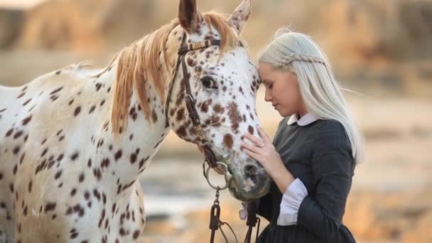 Sensual Woman Embracing Horse In Sunlight Full Hd Slow Motion Stock Video Sensual Woman Embracing Horse In Sunlight Full Hd Slow Motion Stock Video