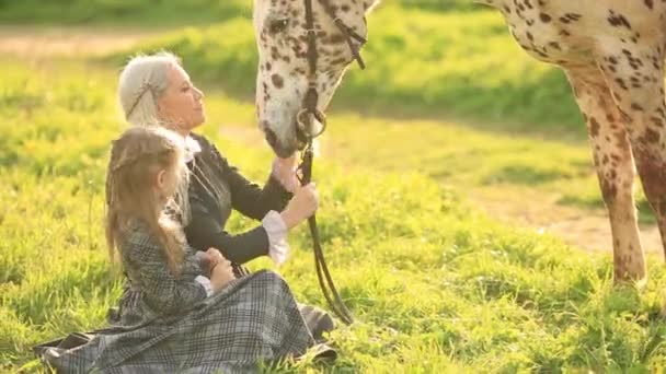 Two beautiful blondes in chamomile field on a background of horse — Stock Video