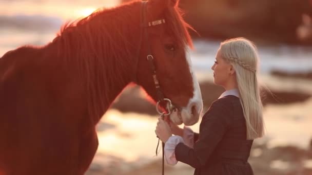 Девушка заботится о своей лошади, терапия с лошадьми — стоковое видео