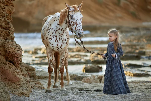 Liten flicka i elegant klänning går på steniga stranden med vacker ojämn häst — Stockfoto