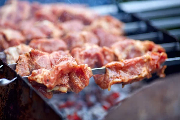 Metal şiş ızgara yemek ızgara Kebap