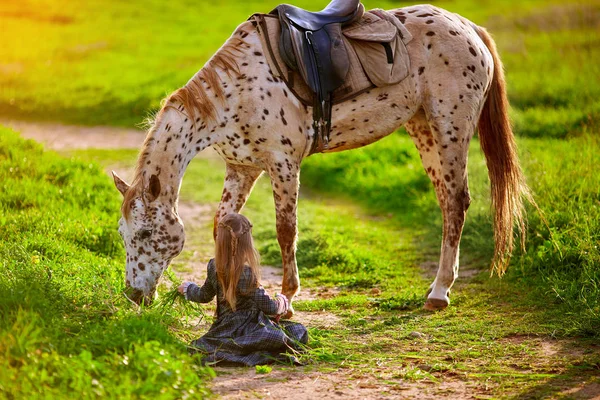 Liten flicka med vacker prickig häst i solljus — Stockfoto