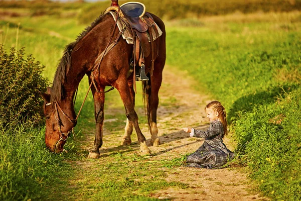 Liten flicka med en vacker prickig häst i solljus — Stockfoto
