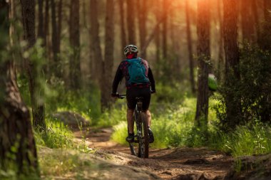 Erkek atlet Mountainbiker bir orman izi boyunca bir bisiklet sürmek