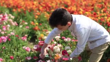 muhteşem bahçede bir bahçe buttercups çiçek açan çiçekleri toplama İsrailli çocuk