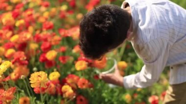 çocuk turuncu buttercup çiçek dokunmadan keser