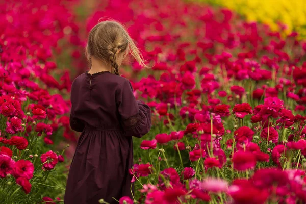 Ragazza cammina attraverso un campo di fiori di ranuncolo rosso, raggiungendo le palme per toccare i fiori — Foto Stock