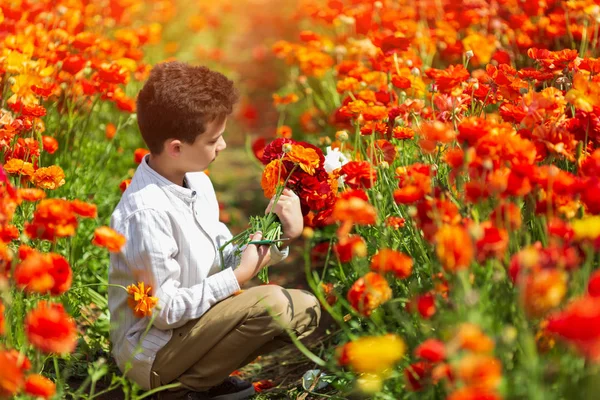 Lindo niño coleccionando flores silvestres en el campo floral fresco, pasando un cálido día de primavera en el campo, disfrutando de la belleza y la frescura de la naturaleza —  Fotos de Stock