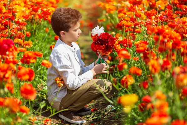 Cute little boy working in a spring garden, a child taking care of colorful chrysanthemum buttercups — Stock Photo, Image