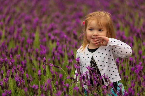 Menina em meio a flores violetas — Fotografia de Stock