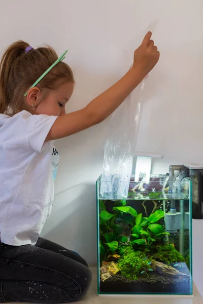 Fröhliches kleines Mädchen beim Anblick eines jungen Fisches in einem Aquarium mit bunten Algen im Aquarium — Stockfoto