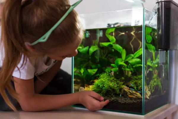Schattig klein meisje te kijken naar vis in het aquarium — Stockfoto