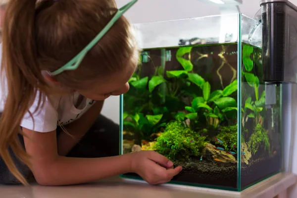 Cute Little Girl patrząc na ryby w akwarium — Zdjęcie stockowe