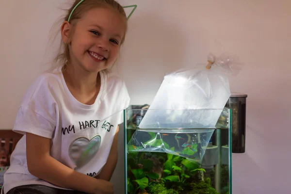 एक नवीन मासे प्लास्टिक पिशवी धारण मुलगी ते एक प्राणीसंग्रहालय स्टोअर मध्ये आला तो घरी मत्स्यपालन मध्ये ठेवण्यासाठी तयार — स्टॉक फोटो, इमेज