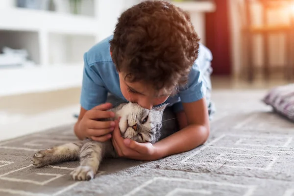 Feliz niño pequeño jugando con gris británico taquigrafía en la alfombra en casa —  Fotos de Stock