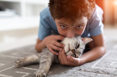 tapılası küçük çocuk evde halıda gri İngiliz steyşınıyla oynuyor.