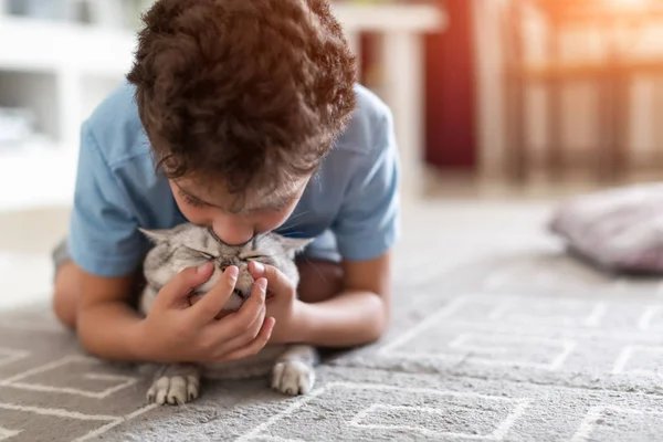 Carino bambino europeo gioca con gattino stenografia — Foto Stock