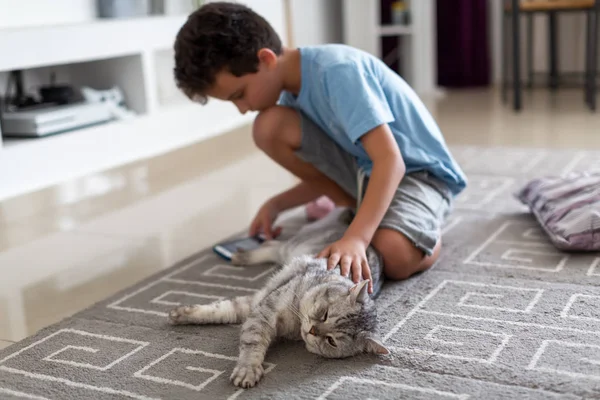 Мальчик гладит симпатичного британского котенка, сидит на полу и играет в телефон — стоковое фото
