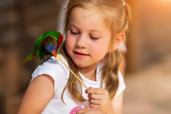 Schattig klein meisje spelen met een papegaai en voeden hem — Stockfoto