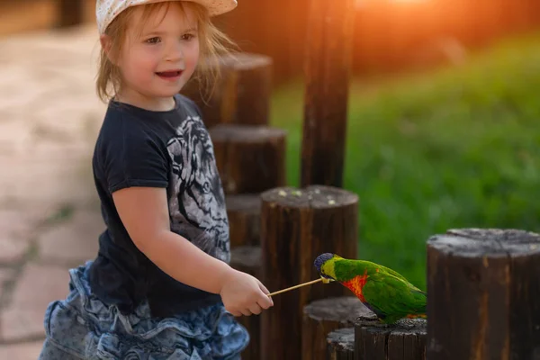 小さな女の子の隣に波状のオウム。赤緑オウム — ストック写真