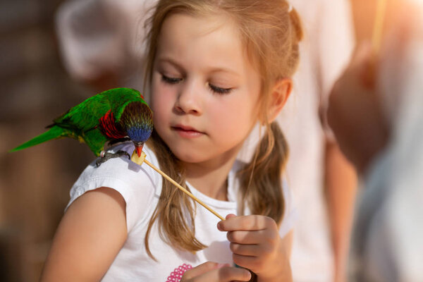 little girl feeds parrots at the Australian Zoo in Israel