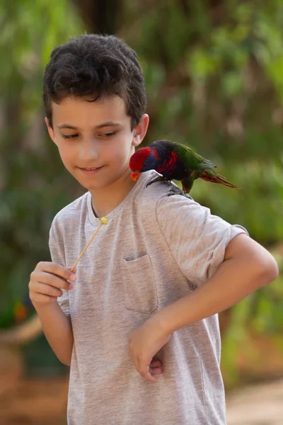 Los niños dan de comer a un pájaro en el parque israel — Foto de Stock