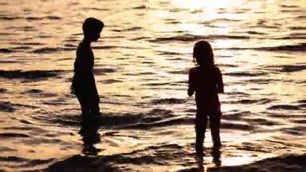 Happy children playing on the beach at the sunset time. Concept of happy friendly family — Stock Video