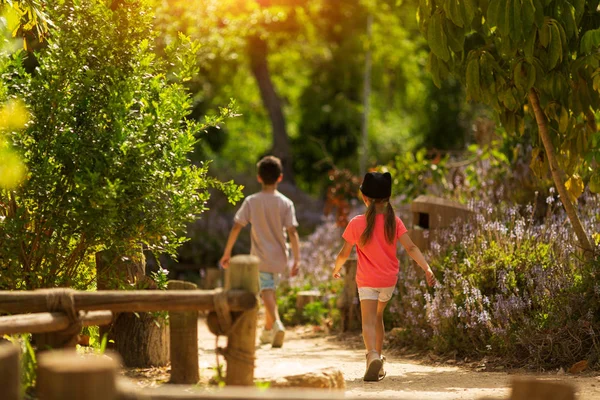 Vista trasera del hermano de diez años y la hermana de cinco años caminando en el parque — Foto de Stock
