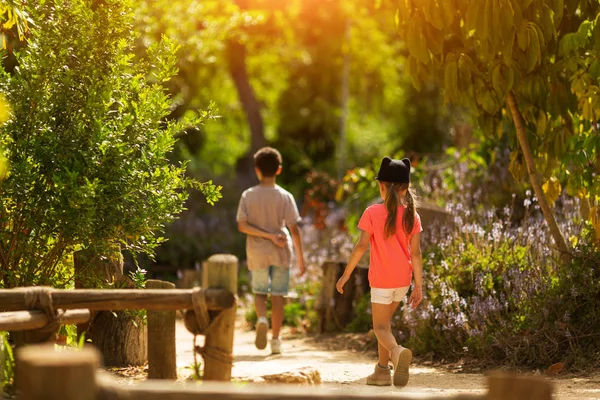 Familia con niños caminando en el bosque. Hermoso paisaje con árboles verdes — Foto de Stock