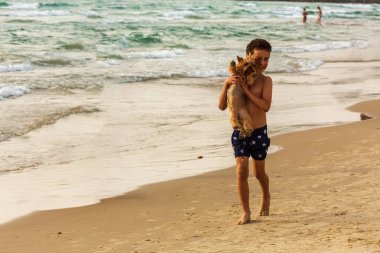 Çocuk deniz arka planda bir köpek doğurmak Yorkshire Terrier tutar, Evcil hayvanlar denizde yürümek