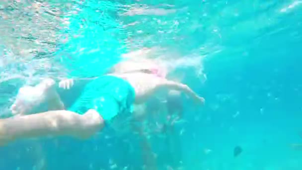 Viaggio ragazzo Snorkeling con pesce in mare in vacanza — Video Stock