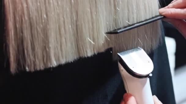 Cięcie włosów z maszyną do strzyków. Fryzjer zrobić zbliżenie fryzury. podział końców cięcie w domu — Wideo stockowe