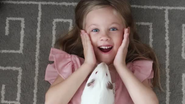 Top θέα μικρό κορίτσι κρατά προσεκτικά μεγάλο τριχωτό ινδικό χοιρίδιο στα χέρια — Αρχείο Βίντεο
