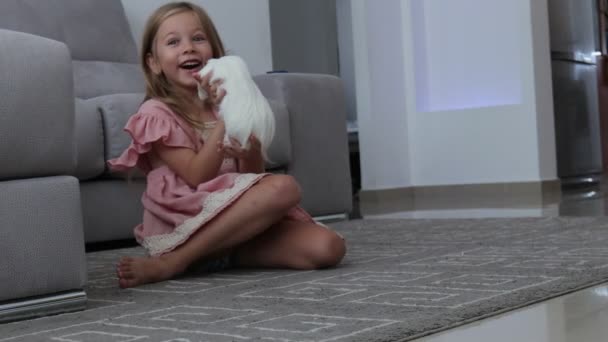 Blond fille blanche avec un animal de compagnie dans les bras. mignon caucasien enfant de avec un cobaye dans son bras — Video