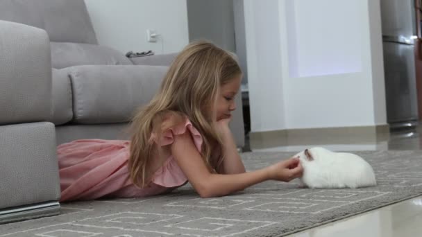 可爱的小女孩和豚鼠 — 图库视频影像