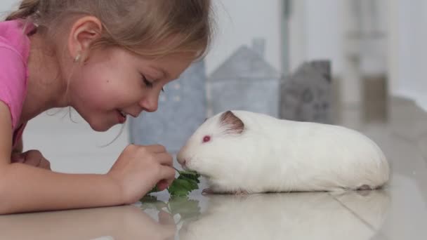 Grappig kind meisje met cavia huisdier liggen eet één takje peterselie samen — Stockvideo