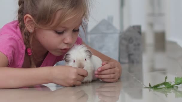 Beautiful blue-eyed little girl 6 years old with a pet cavy at home — Stock Video